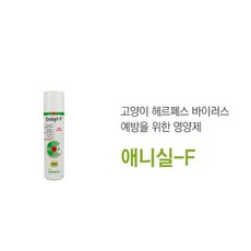베토퀴놀 애니실 F 엘라이신 고양이 영양제 100ml, 호흡기/기관지, 1개