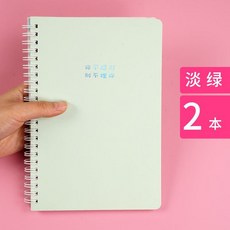 굳펫 가계부다이어리 계책 멀티 장부바인더속지 홈 재테크 노트 재무 명세장 데일리 지출함, 엷은녹색 2본장