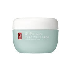 AP 일리윤 히알루론 모이스춰 수분크림 100ml/크림, 단일상품