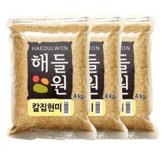 칼집현미