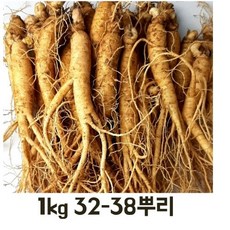 실속형 실속형인삼 국내산 인삼 250g 750g 1kg 옵션선택 (믹서용 홍삼용 실속인삼), 실속인삼 250g (10-12뿌리), 1개
