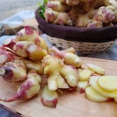 국내산 특상품 흙생강 세척생강 햇생강 1kg 3kg 5kg 10kg, 세척 생강 5kg