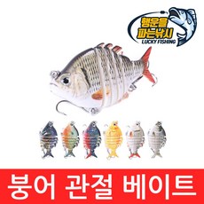 진성배낚시