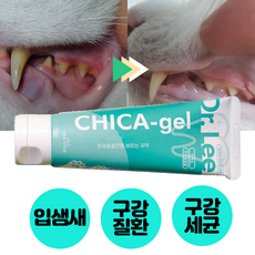 강아지 고양이 바르는 먹는 치약 스케일링 입냄새 구내염 구강질환 구강세균 잇몸염증, CHICA-gel 바르는 구강치약 70ml, 1개, 70ml - oratene