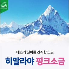 김여사의답례품