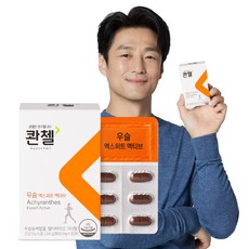 콴첼 우슬 엑스퍼트 액티브 1BOX/15일분