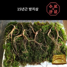 [수로] 산삼 15년 방치삼 씨삼, 3개, 0