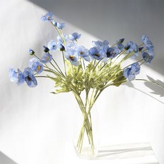 2f73f9becb3f2eaab15b35a9db324db28774d22607f15a6810640788d6c2.jpg