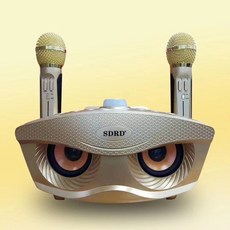 휴대용멀티미디어가라오케