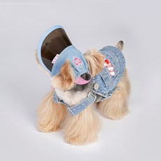 강아지모자 반려견 패션 귀여운 애견, 1개
