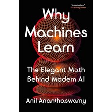 Why Machines Learn:The Elegant Math Behind Modern AI, Dutton Books