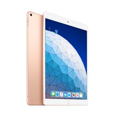 iPad Air3세대 256GB 골드 셀룰러MV0Q2KH/A, 단일상품