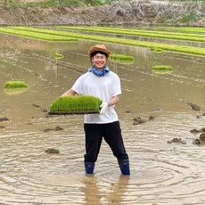 황미쌀 백미 그만 황미 영양16배 오분도미 쌀 도정 쌀눈 진공포장 쌀리버리, 1kg, 1개 - 뽀르띠쌀