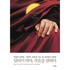 달라이 라마 죽음을 말하다:죽음에 대하여 ‘강력한 선함’을 지닌 채 살아감에 대하여, 담앤북스