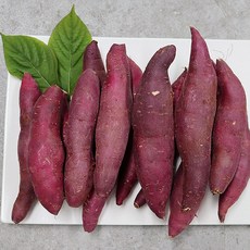 세척고구마바르다
