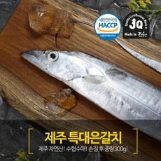 제주SF 제주은갈치 특대 300g5미 분량, 5개