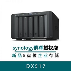 dx513