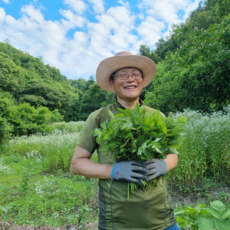 두릅, 1kg