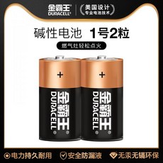 d형건전지스피커