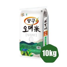 당진감자