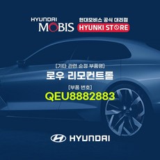 현대모비스프라이드리모컨