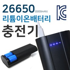 266504구충전기