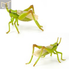 메뚜기장난감