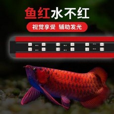 b7508bcf78f4331043a42075901064d45cd27d76661c86e0695456261fdd.jpeg