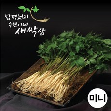 승현이네새싹삼