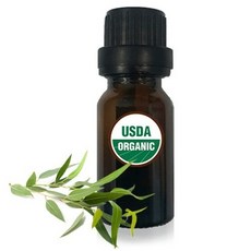 유칼립투스라디아타오일