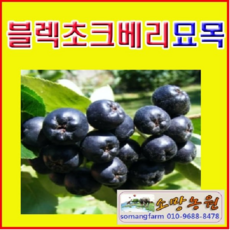 45c313de0927537907d1a888508e83df1c7ff970fc0f4bd6bbb0fea4bb91.png