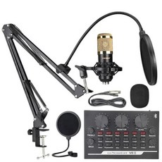 오디오인터페이스 Bm800 마이크 V8 사운드 카드 유튜브 녹음 음성 채팅 팟캐스트 MK014F, [02] Blue microphone, 02 Blue microphone