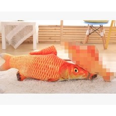 반려동물캣물고기수족관