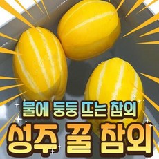 ForU403 성주참외 못난이 혼합과 둥둥참외 맛있는 참외 보화농장 상주 내고향농수산, 상세페이지 참조