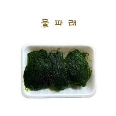 바나나.가락시장