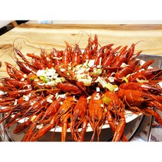 [오늘찬] 민물가재 마라롱샤 크레이피쉬 미니랍스타 냉동수산물 1kg 마라롱샤소스