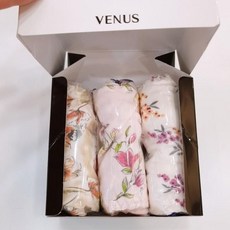 부인용팬티