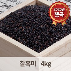 천년지기찰흑미