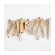 자연재배 제주 한라산더덕 세척 하품 1.8kg, ONE COLOR