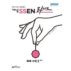 개념쎈라이트수2