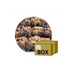 구운숏다리 건어물 안주 간식 국내가공 생맥주 소주 폭탄주 회식 미팅 엠티 데이트 친구 파티 가족 아이들 사무실 탕비실 공부 영화 드라마 거실 식당 안주 메뉴 등산 낚시 캠핑 여행, 1개, 10kg