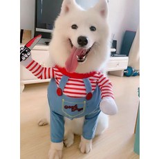 강아지처키옷 고양이 코스튬 코스프레 특이한 웃긴 처키강아지 원피스 소형견 중형견 대형견