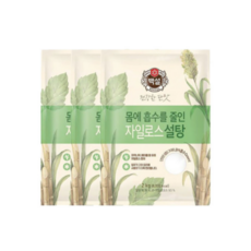 백설 하얀 자일로스설탕, 2kg, 3개