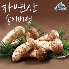 [방송구성] 23년 햇 숲에서 자란 자연산 송이버섯 400g*2박스_일반, 1