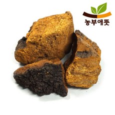 농부애뜻 차가버섯 300g 자연산 러시아, 1개