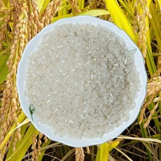 천년의 솜씨 밥맛좋은 맛있는 신동진쌀 햅쌀 10kg 20kg, 1박스