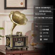 사운드룩 올인원 LP턴테이블 스피커 세트 SLT-5080PRO(블랙) 상품 이미지