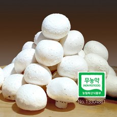 [초록초록팜] 친환경 무농약 부여 양송이 버섯 특품 500g 선물용, 1박스, 상세 설명 참조