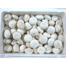 양송이버섯 200g 이강산닷컴, 1개