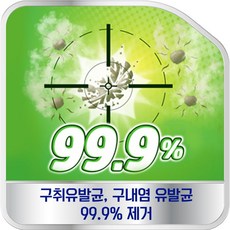 폴리덴트 5분 퀵 의치 세정제 36정x4박스, 단일옵션 - 폴리쿼터늄